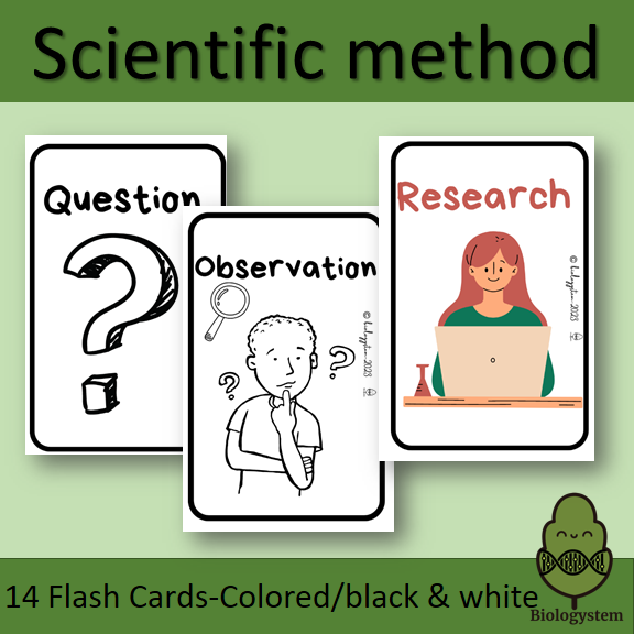 Simplify the Scientific Method with These 7 Easy Steps flashcards