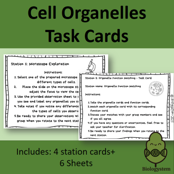  “Fuel Your Passion: 4 Amazing Station Activities for Cell Biology!”